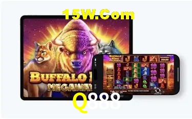 Experiência VIP Q888