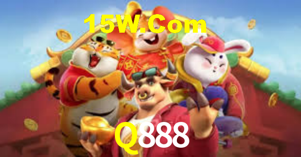 Premium Interface Q888